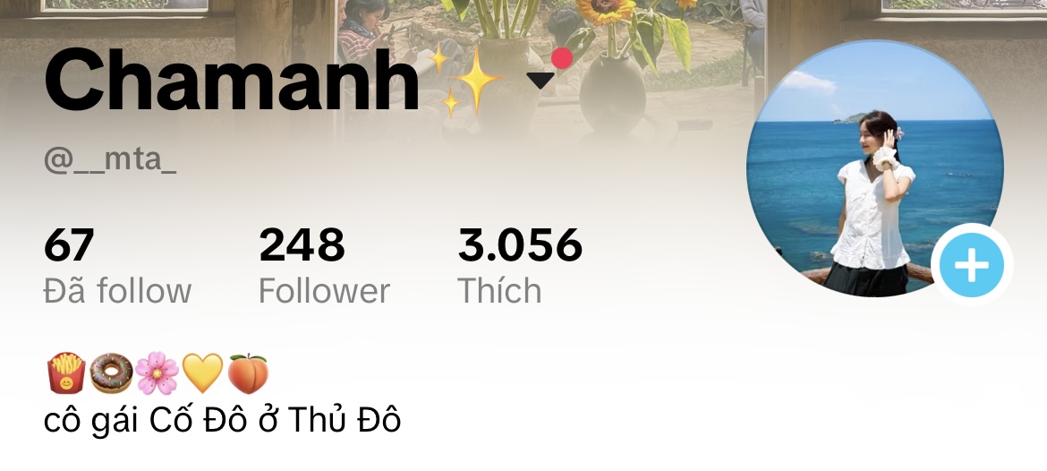 Chamanh TikTok account profile